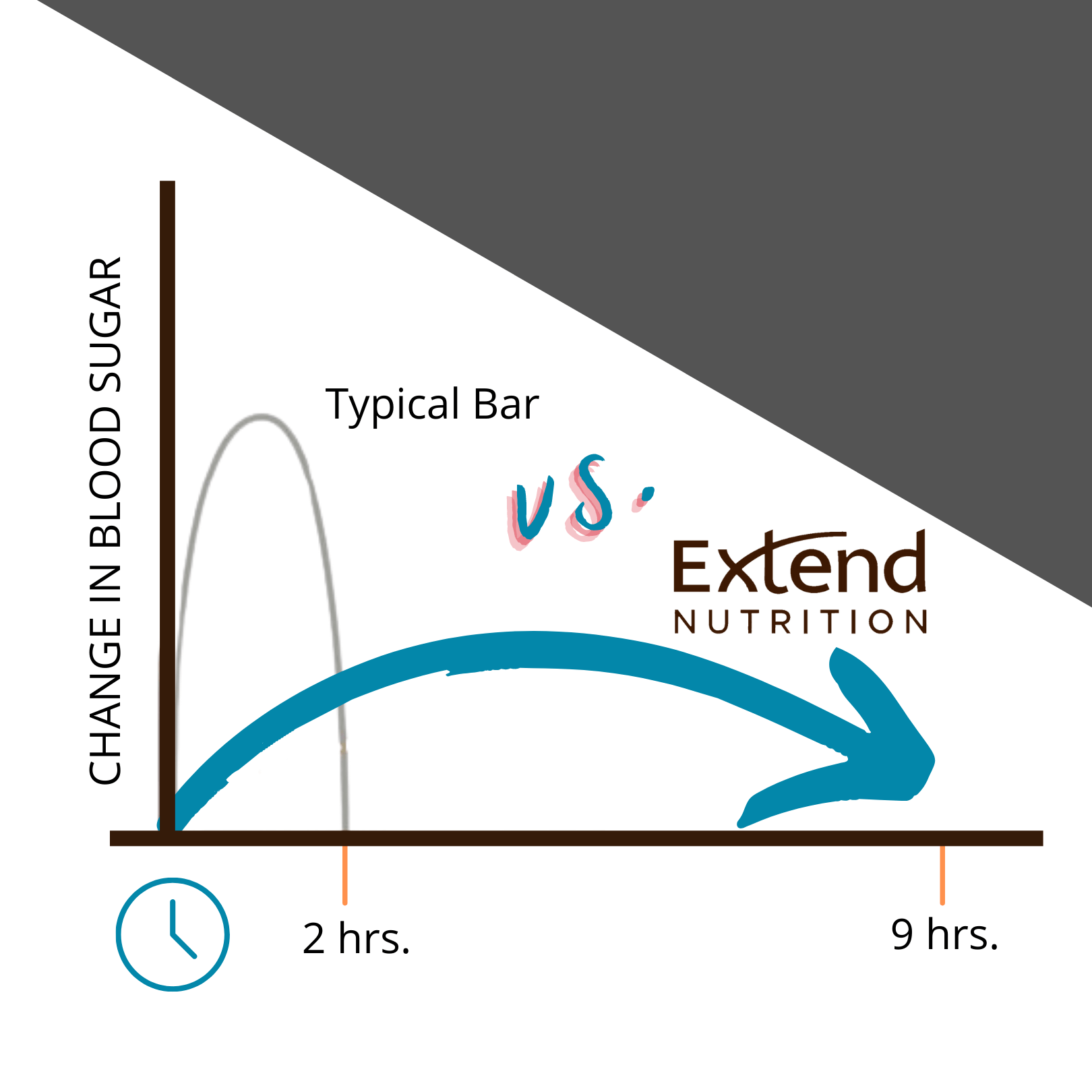 Extend - Chocolate Peanut Butter Sugar Free Protein Bars (12 Pk)