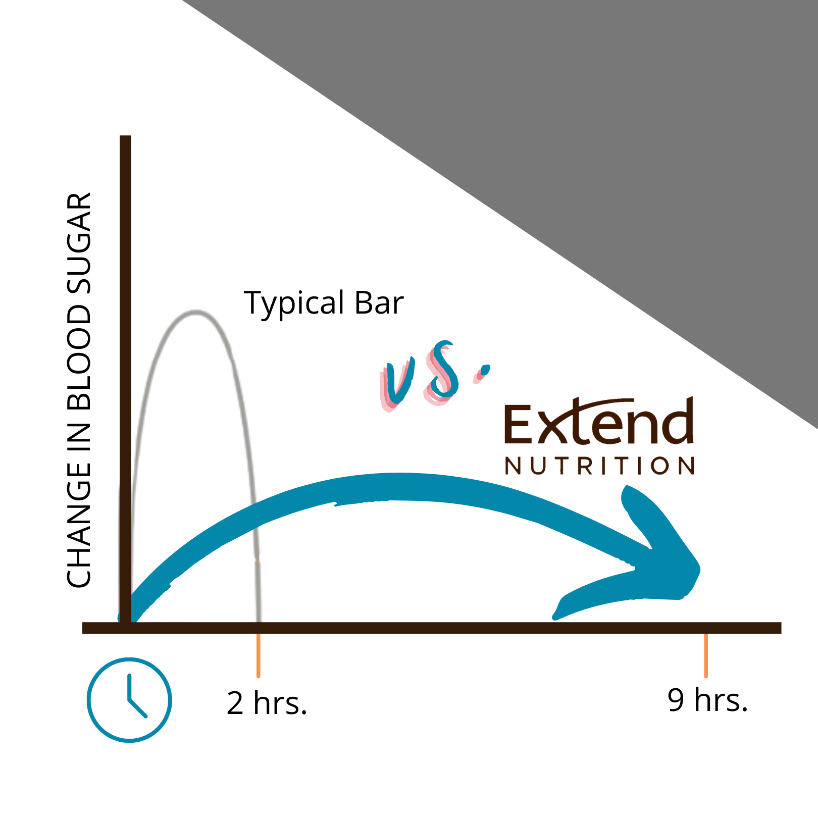 Extend - Peanut Butter Low Carb High Protein Bars (12 Pk)