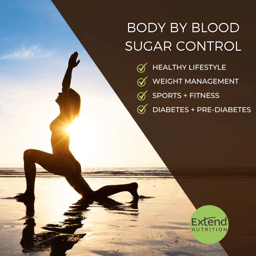 Extend Bar - Rich Chocolate Sugar Free Protein Bars (12 pk)