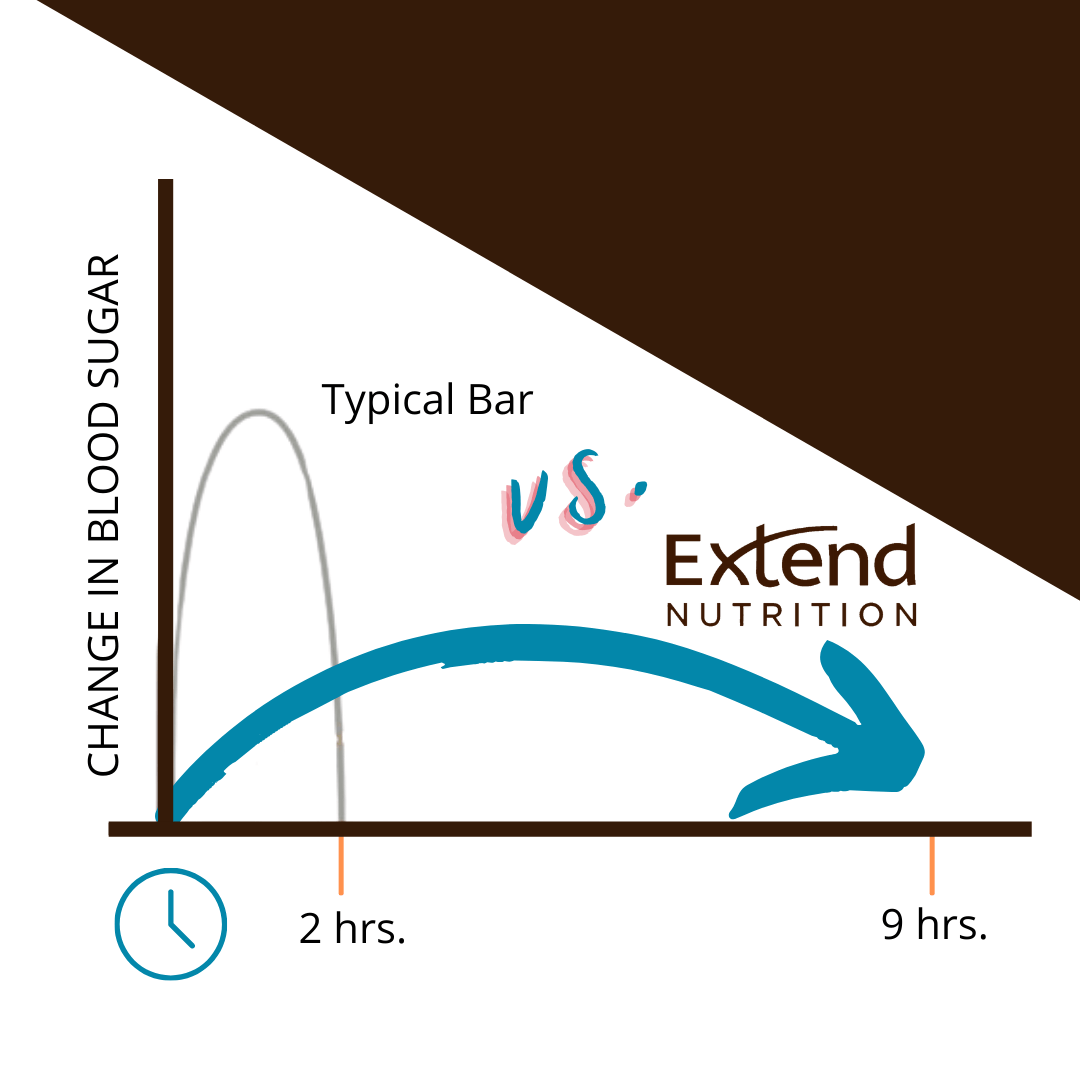 Extend Bar - Rich Chocolate Sugar Free Protein Bars (12 pk)