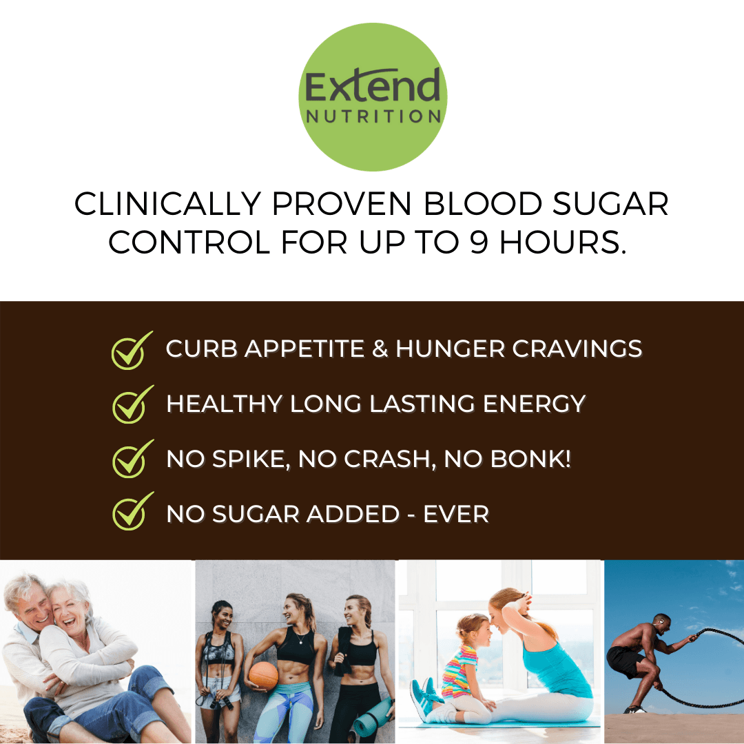 Extend Bar - Rich Chocolate Sugar Free Protein Bars (12 pk)